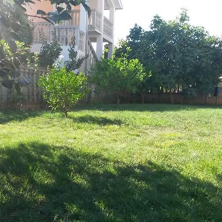 Apartment Villa Dobrijevic -Seljanovo Tivat Exterior photo